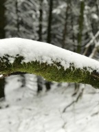 WSSC_Winterwanderung_2018_12